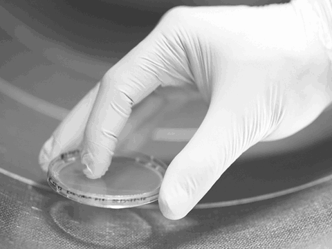 Schulung Mikrobiologische Beprobung in RLT-Anlagen